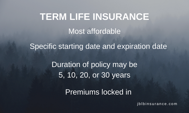 Term Life Insurance